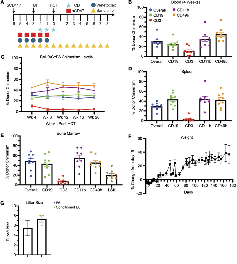 Durable mixed hematopoietic chimerism after nonmyeloablative conditionin...