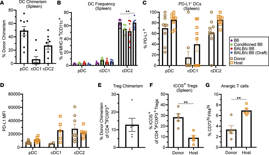 Peripheral tolerance mechanisms in mixed chimeric mice.
(A) Chimerism an...