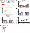 Durable mixed hematopoietic chimerism after nonmyeloablative conditioning w