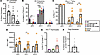 Central tolerance mechanisms in mixed chimeric mice.