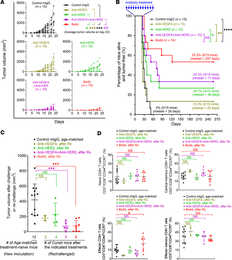 Improvement of tumor-free survival of hmHER2Tg mice with D5-HER2 tumors ...
