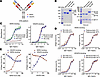 Physicochemical properties and functional characterization of TB-VHS.