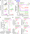 Improvement of tumor-free survival of hmHER2Tg mice with D5-HER2 tumors by