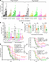 Dependence on FcγRs on TAMs of TG-VHS’s antitumor activity and survival ben