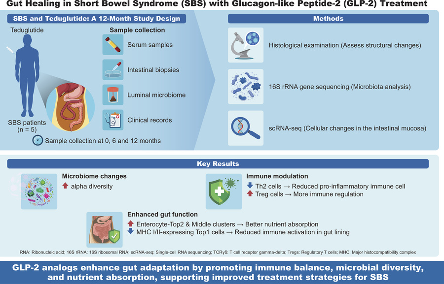 graphical abstract