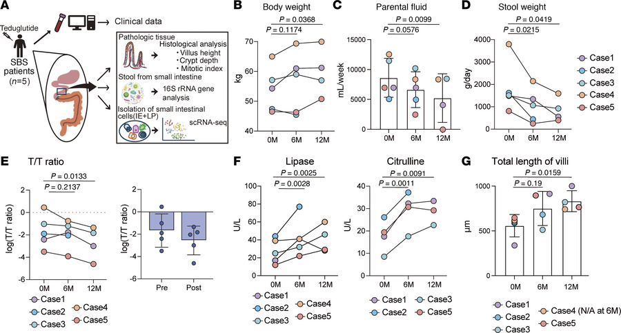 GLP-2 analog is effective for patients with SBS.
(A) Study design: Five ...