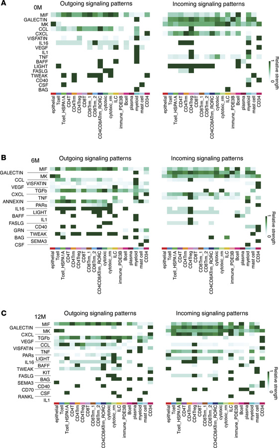Changes in ligand–receptor interactions between clusters reveal enhanced...