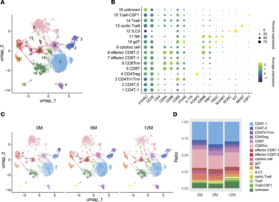 GLP-2 therapy modulates the intestinal immune cell landscape with select...