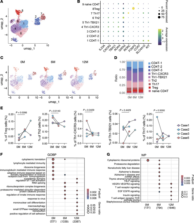 GLP-2 analog treatment selectively expands Tregs and activates growth-as...