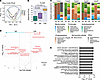 GLP-2 analog therapy enhances microbial diversity and functional capacity w