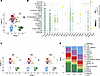 Single-cell transcriptomics reveals epithelial expansion and mucosal remode
