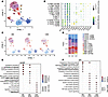 Diverse CD8+ T cell subset dynamics reflect patient-specific responses to G