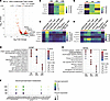 Longitudinal gene expression analysis of enterocyte-Top2 cluster reveals fu