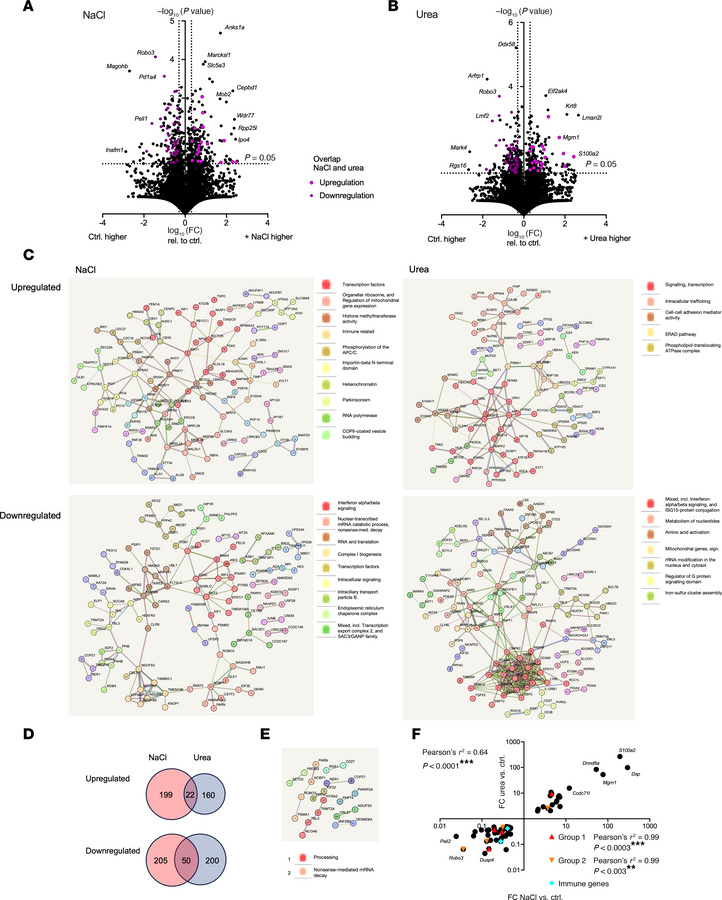 Differential modulation of human CD8+ T cell gene expression by NaCl and...
