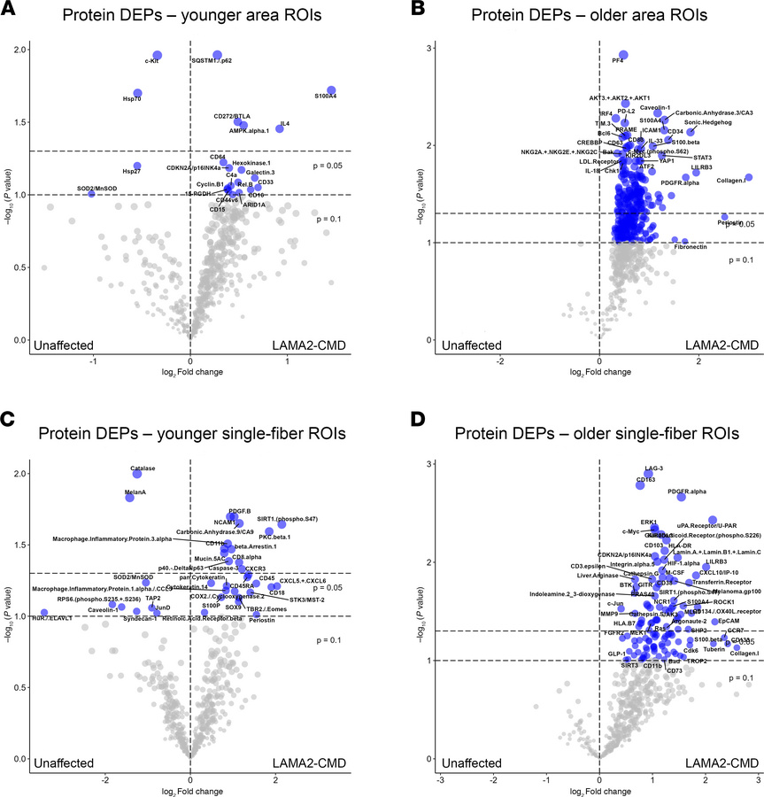 Age-sorted protein expression data reveal protein accumulation in older ...