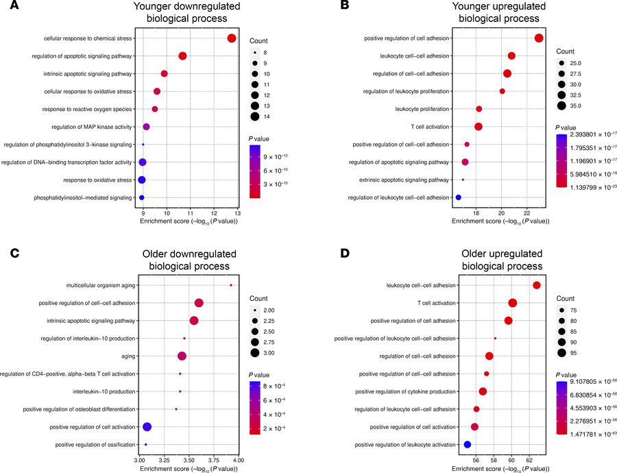 GO pathway analysis reveals altered biological processes as disease prog...