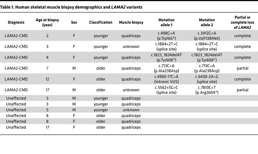Human skeletal muscle biopsy demographics and LAMA2 variants