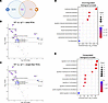 Digital spatial profiling of dyW–/– TA shows disrupted glucose metabolism a