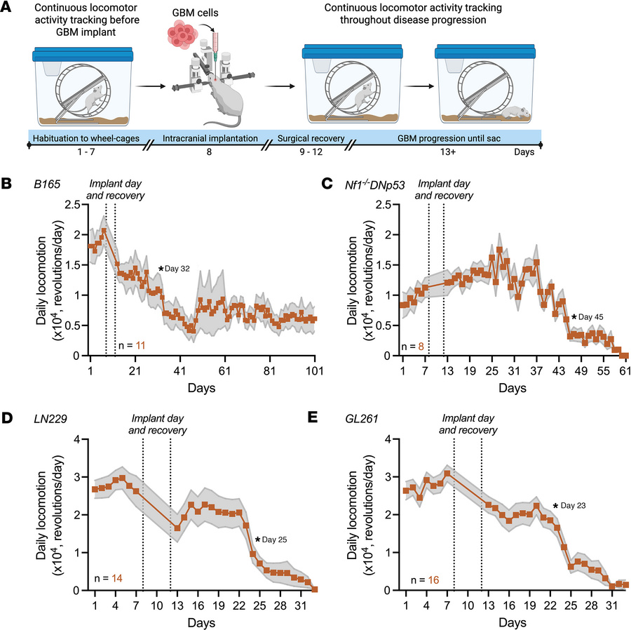 Daily locomotor activity declines with tumor progression in GBM-bearing ...