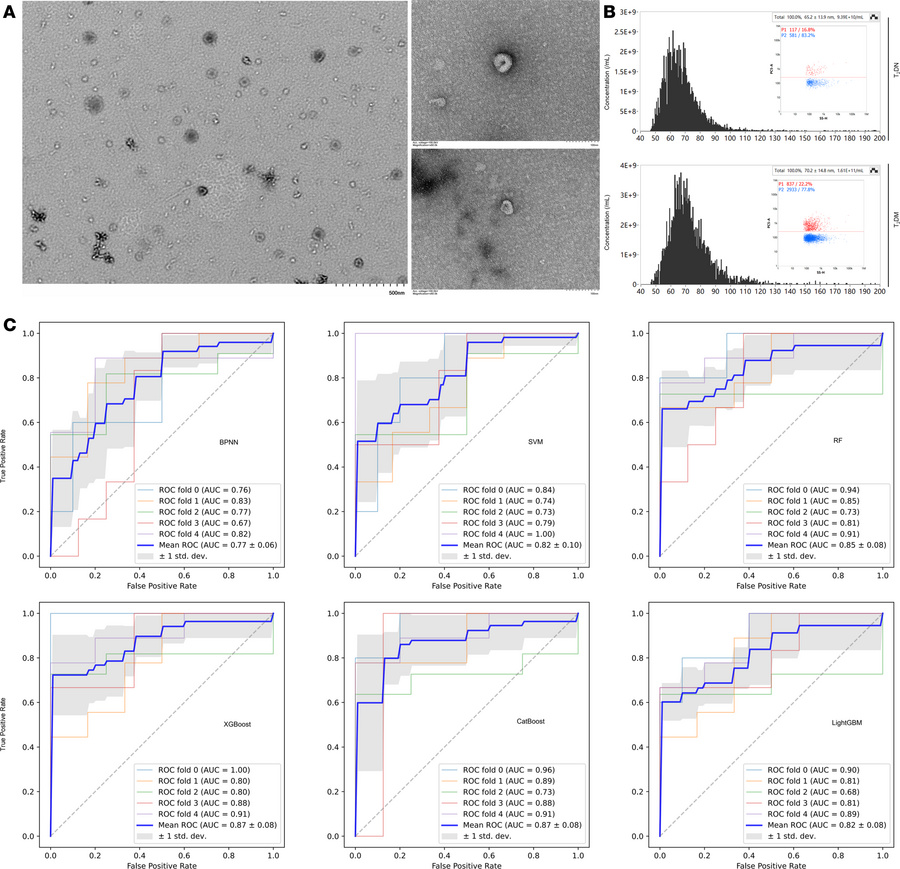 Characterization and validation of uEVs and candidate RNAs in the traini...