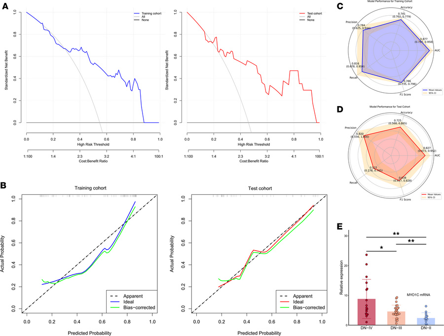 Model performance and analysis across cohorts.
(A) Decision curve analys...