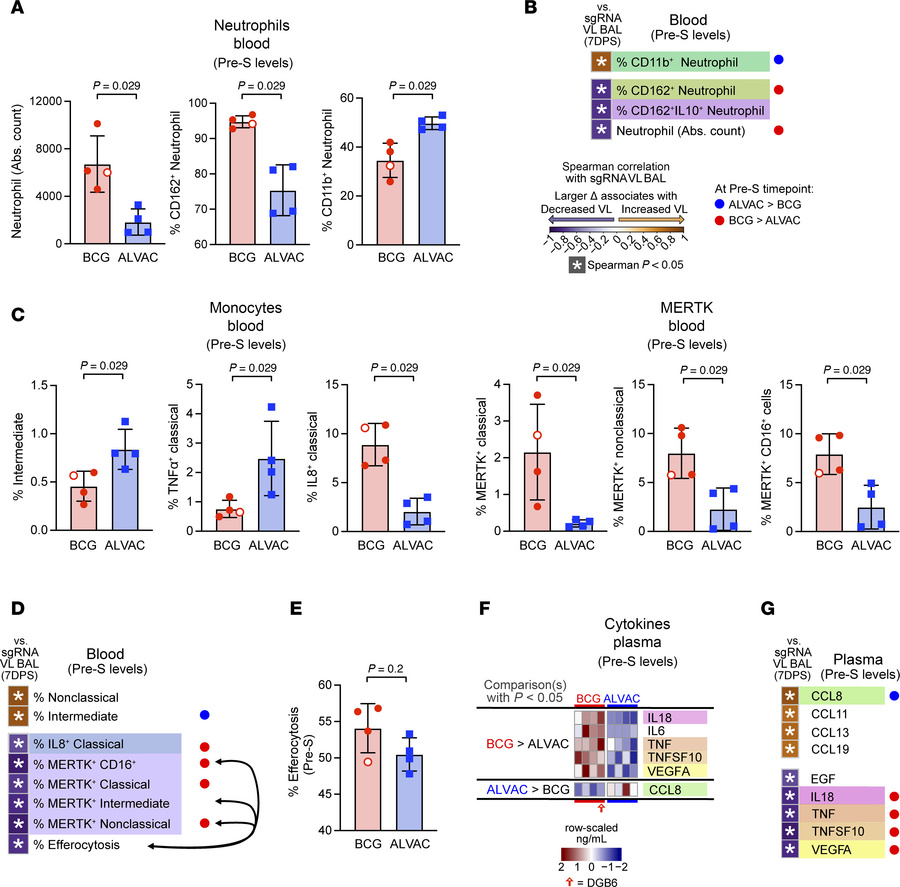 Blood cell subsets and cytokine differences between ALVAC/Alum and BCG p...