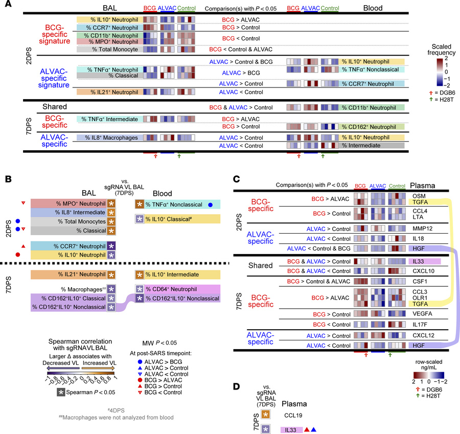 Differences in cell subsets and cytokines between ALVAC/Alum and BCG fol...