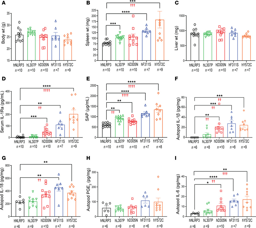 Phenotypic evaluation of mouse lines with a single copy of the common NL...