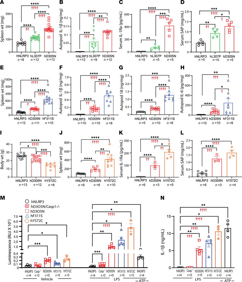 Comparison of inflammation in CAPS mice and primary macrophages homozygo...
