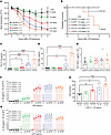 Response of the peritoneum and peritoneal macrophages in mice heterozygous