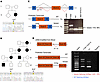 Deep intronic variants in MYRF alter splicing of mRNA transcript.