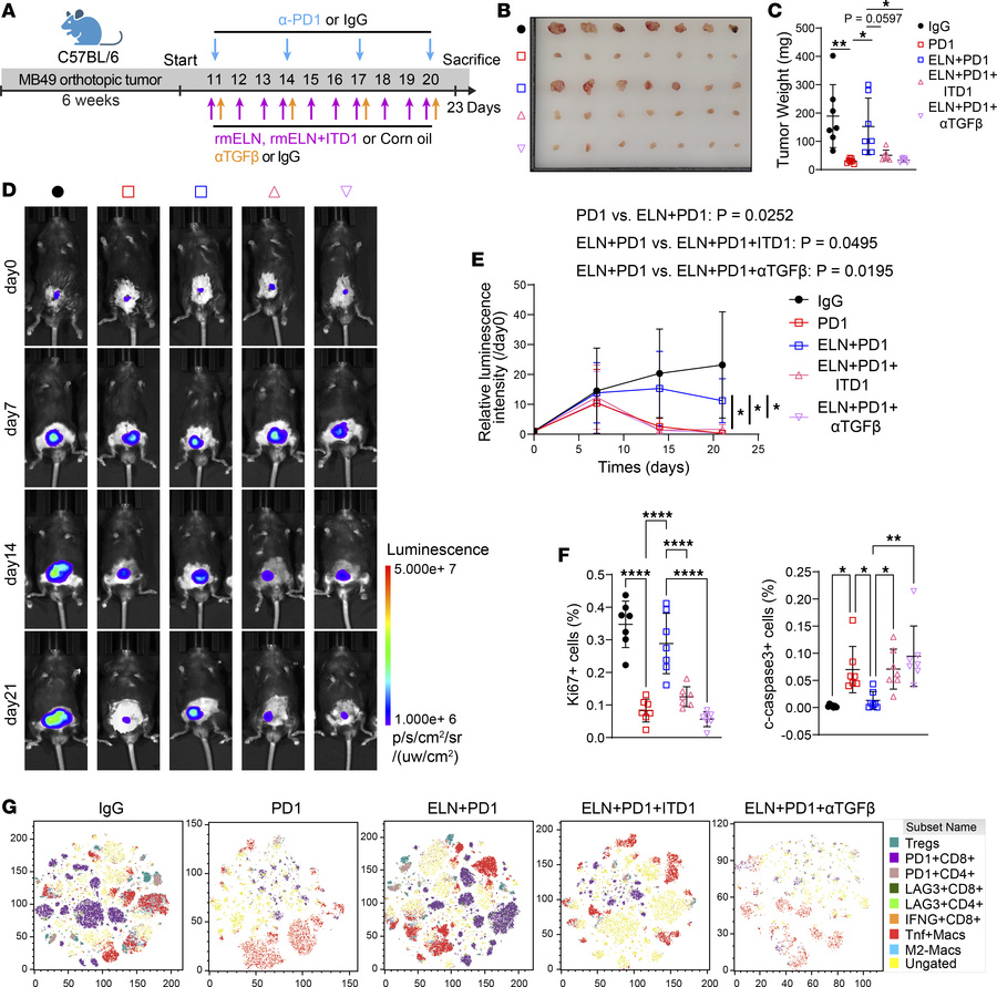 Targeting the ELN/TGFBR2 axis improves the immunotherapeutic response in...