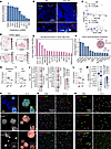 ELN activates TGF-β1 signaling in tumor cells, T cells, and macrophages.