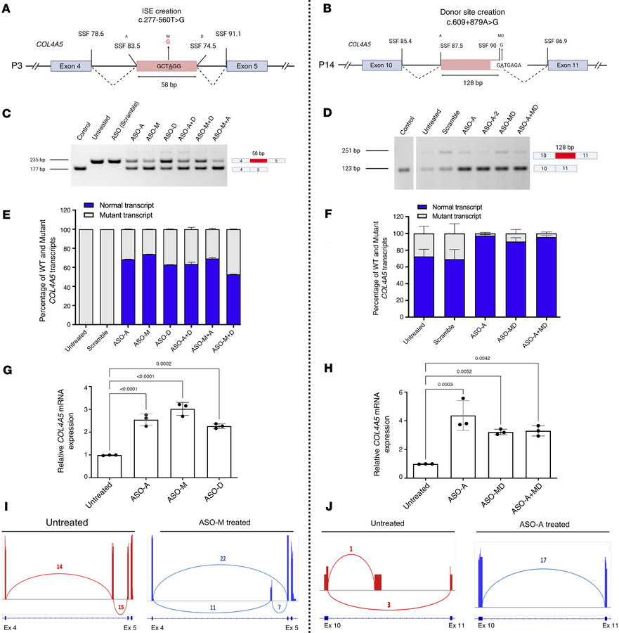 Evaluation of ASO efficacy in correcting splicing defects in patient-der...