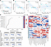 CD169 expression on monocyte subsets is associated with cognitive impairmen