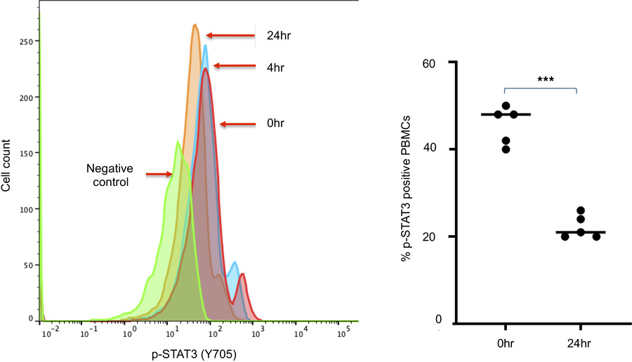 WP1066 suppresses STAT3 activation in PBMCs.
Left: Representative flow c...