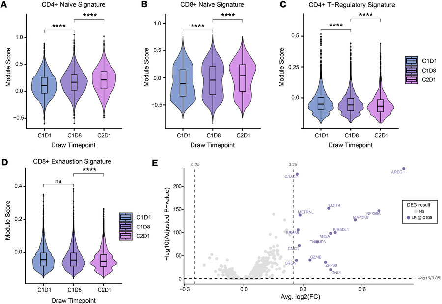 Changes in T cell subsets in response to WP1066.
CD4+ and CD8+ T cell su...