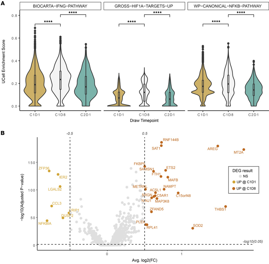 The upregulated inflammatory pathways and markers in myeloid cells with ...