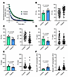 Myosin biochemical and energetic states in patients with XLMTM.