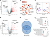 Comparative proteomic analysis in mice lacking MTM1.