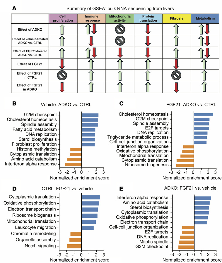 RNA-Seq analyses of livers reveal that livers from lipodystrophic mice h...