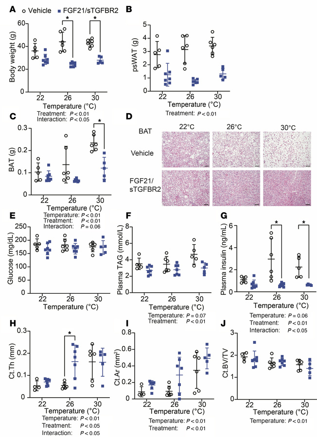 FGF21/sTGFBR2 decreases adiposity and plasma insulin concentrations, wit...