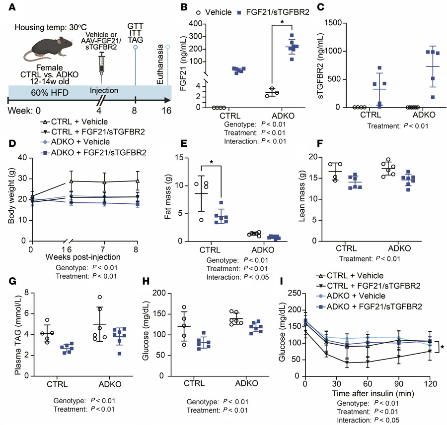 Adipose tissue is required for FGF21/sTGFBR2 to mediate metabolic improv...