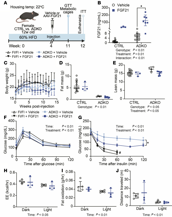 FGF21 improves insulin sensitivity of lipodystrophic mice housed at 22°C...