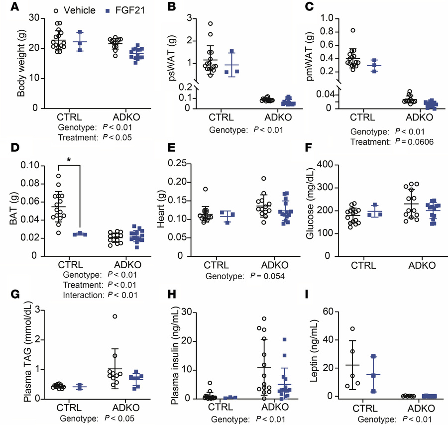FGF21 does not improve metabolic dysfunction of lipodystrophic mice hous...
