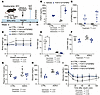 Adipose tissue is required for FGF21/sTGFBR2 to mediate metabolic improveme