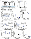 FGF21 improves insulin sensitivity of lipodystrophic mice housed at 22°C.