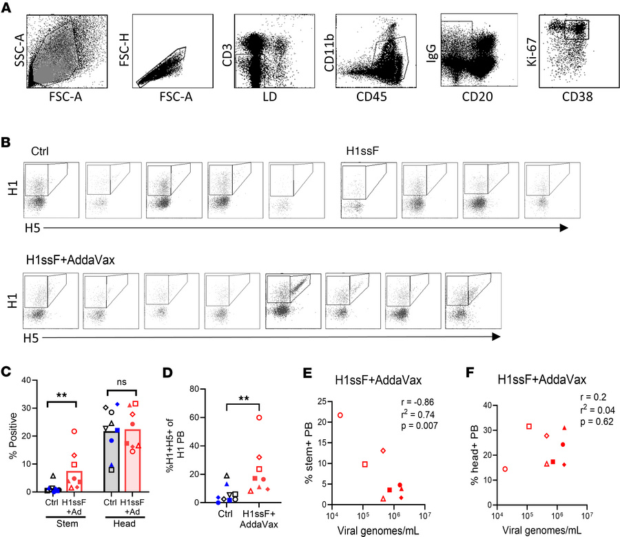 H1ssF+AddaVax promotes increases in the HA stem–specific PBs within the ...