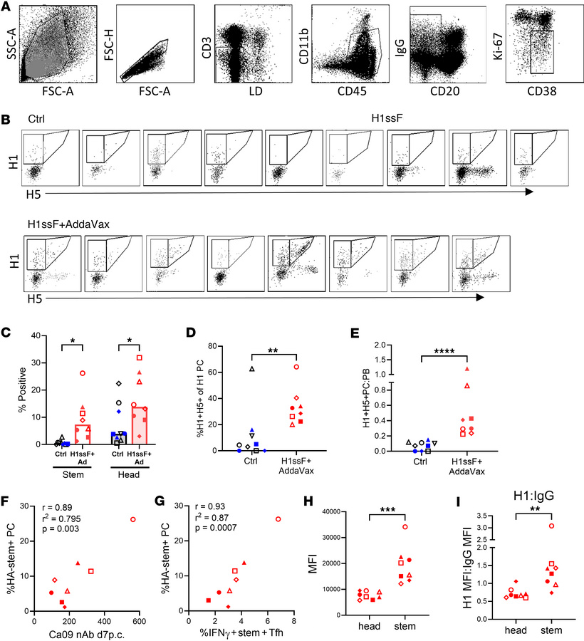 H1ssF+AddaVax promotes increases in HA stem– and head–specific PCs in th...