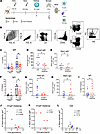 HA stem–specific cells are more highly represented within the IgG+ B cell r